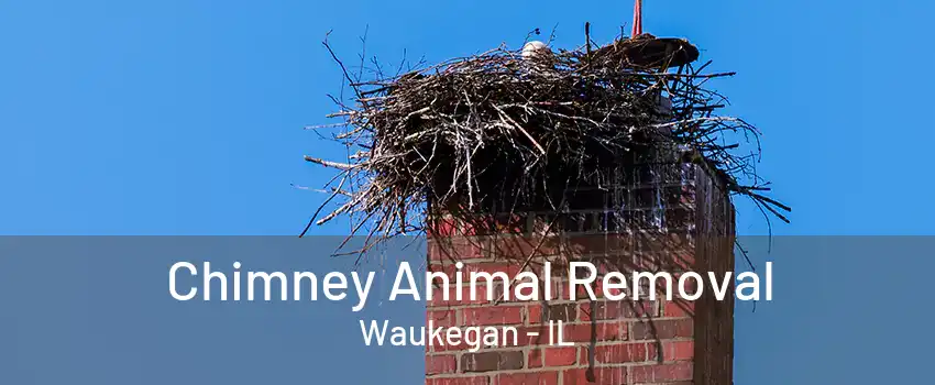 Chimney Animal Removal Waukegan - IL