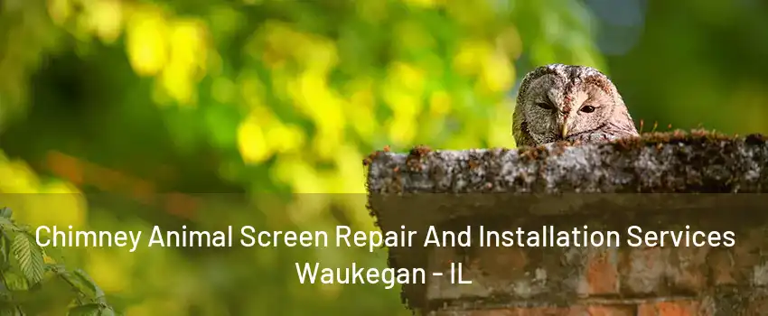 Chimney Animal Screen Repair And Installation Services Waukegan - IL