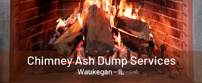 Chimney Ash Dump Services Waukegan - IL