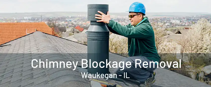 Chimney Blockage Removal Waukegan - IL