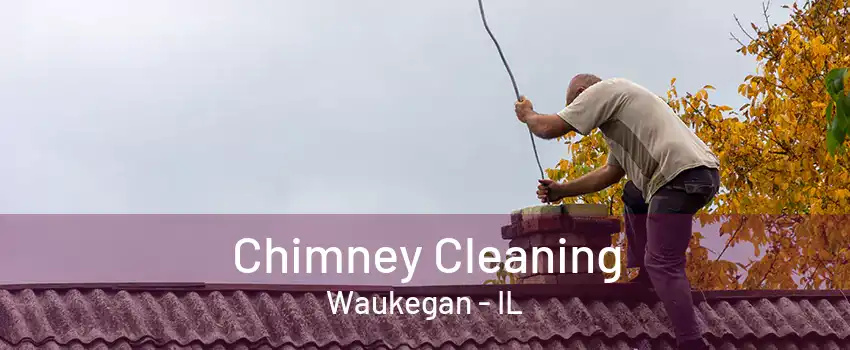 Chimney Cleaning Waukegan - IL