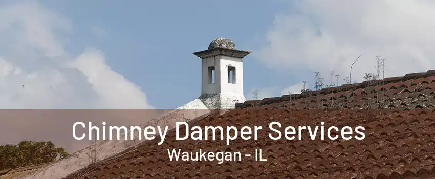 Chimney Damper Services Waukegan - IL