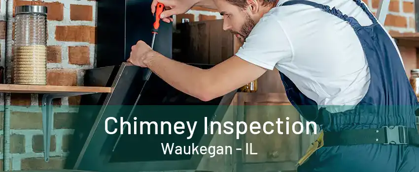 Chimney Inspection Waukegan - IL