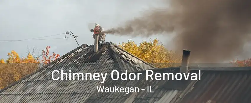 Chimney Odor Removal Waukegan - IL