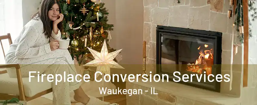 Fireplace Conversion Services Waukegan - IL