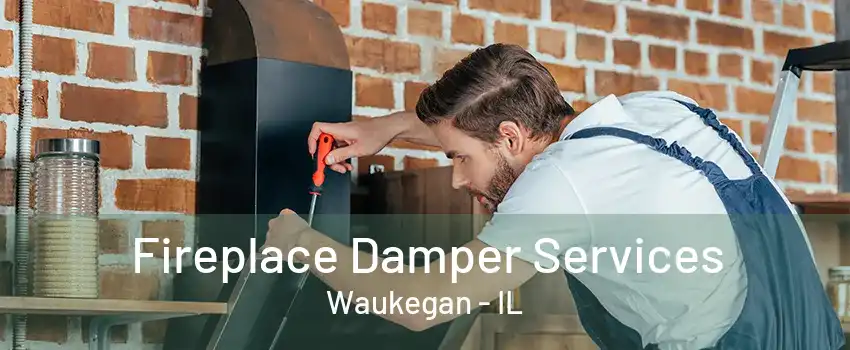 Fireplace Damper Services Waukegan - IL