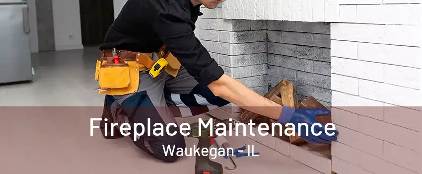 Fireplace Maintenance Waukegan - IL