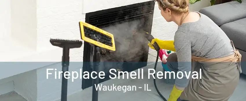 Fireplace Smell Removal Waukegan - IL