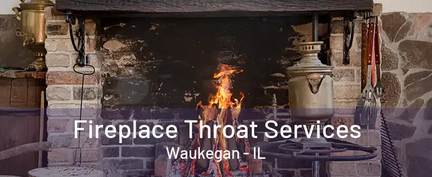 Fireplace Throat Services Waukegan - IL