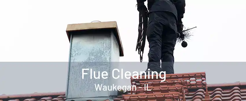 Flue Cleaning Waukegan - IL