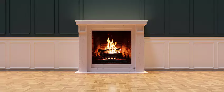 Napoleon Electric Fireplaces Inspection Service in Waukegan, Illinois