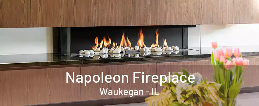 Napoleon Fireplace Waukegan - IL