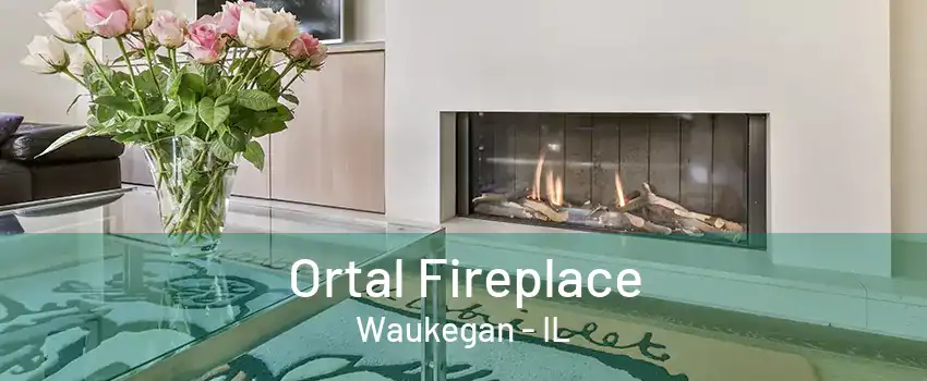 Ortal Fireplace Waukegan - IL